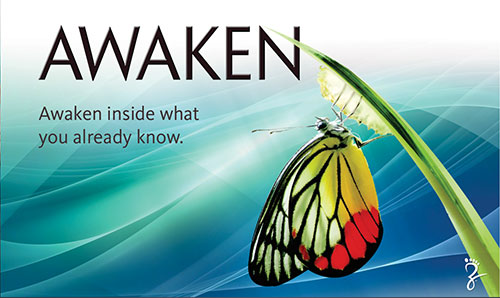 awaken