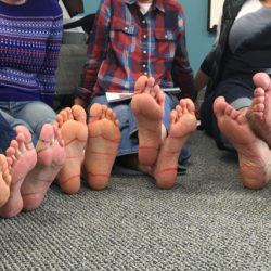 Foot Zone 1-2-3 Seminar