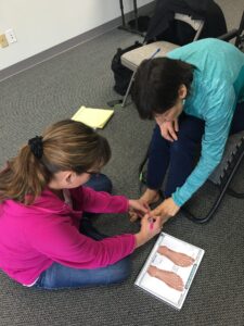 Foot Zone 1-2-3 Seminar