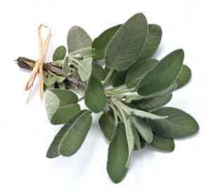  SAGE