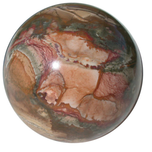 Fossil