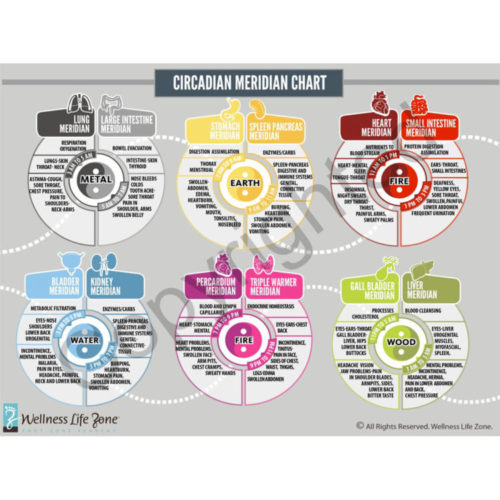 circadian
