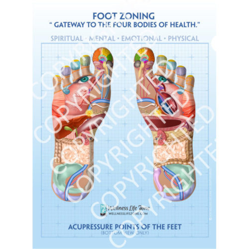 footzone accupressure