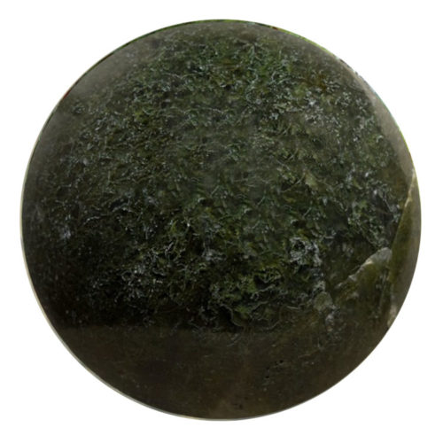 green moss