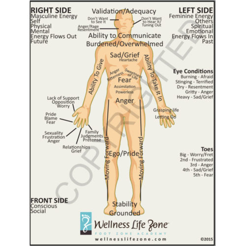 wellness lifezone front side