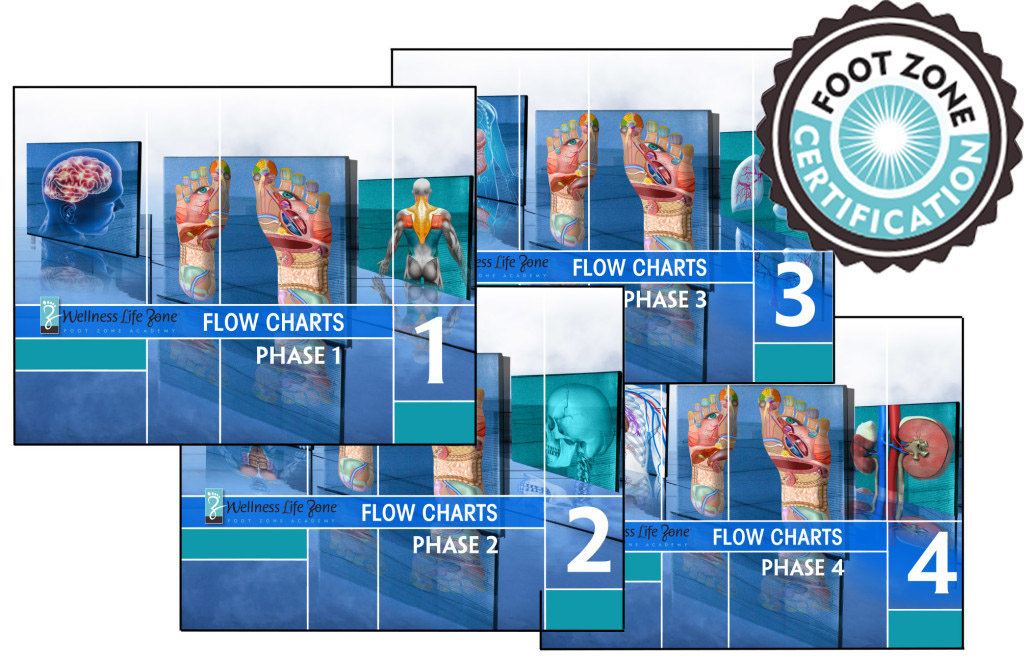 foot zone certification course