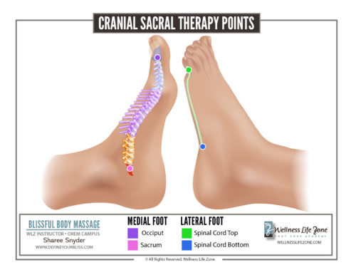 Cralial Sacral Points