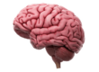 Brain Health is a Step to Total Health