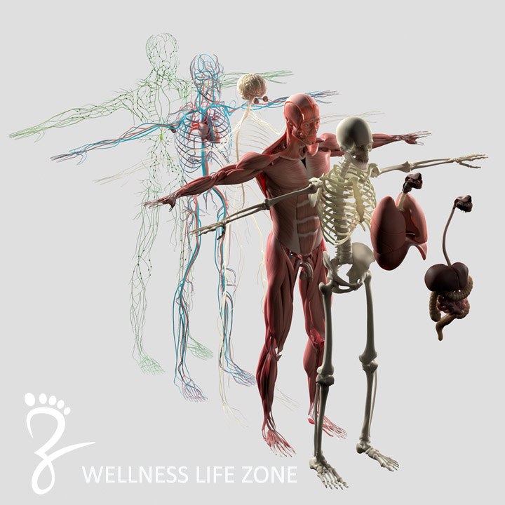 FASCIA