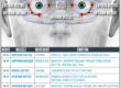 cranial nerves for your eyes